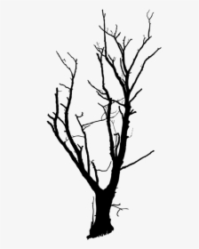 Trunk Tree Branch Snag Drawing Cc0 - Png Transparent Dead Trees, Png Download, Transparent PNG