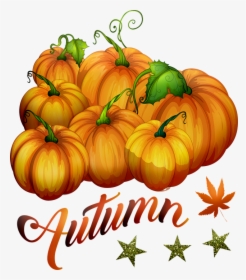 Autumn Pumpkins, Pumpkin, Halloween, Vegetables - Pumpkin, HD Png Download, Transparent PNG