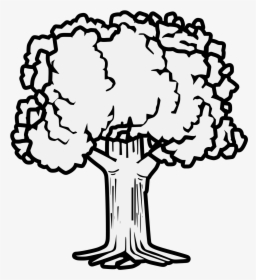 Coat Of Arms Trees, HD Png Download, Transparent PNG