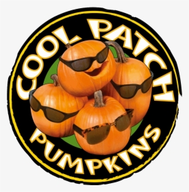 Coolpatchpumpkins Cool Pumpkins - Cool, HD Png Download, Transparent PNG