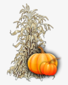 Pumpkin , Png Download - Corn Stalk Pumpkin, Transparent Png, Transparent PNG