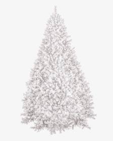 Christmas Tree,winter,new Year S, HD Png Download, Transparent PNG