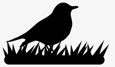Thrushes - Bird Logo Black And White, HD Png Download, Transparent PNG