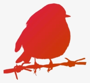 Robin Bird Png Free Clipart - Robin Drawing Christmas Bird, Transparent Png, Transparent PNG