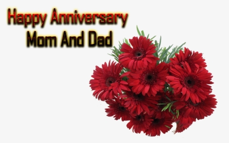 Happy Anniversary Mom And Dad Png Free Background - Free Happy Anniversary Mom And Dad, Transparent Png, Transparent PNG