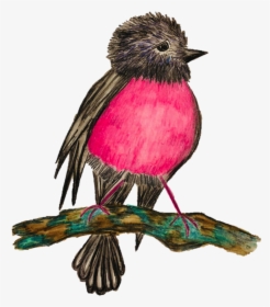 Dandelion Pink Robin Hand Drawn By Ashleigh Cotterill - American Rosefinches, HD Png Download, Transparent PNG