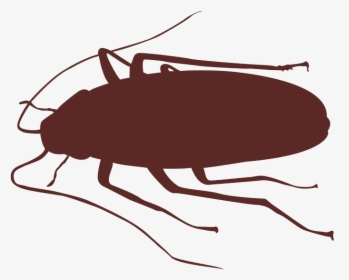 Cockroach Insect Silhouette - Cockroach Clipart Silhouette, HD Png Download, Transparent PNG