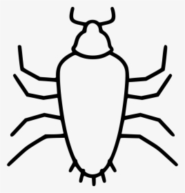 Cockroach - รูป แมลงสาบ ขาว ดำ, HD Png Download, Transparent PNG