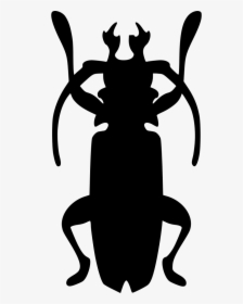 Beatle Nature Cockroach Roach, HD Png Download, Transparent PNG