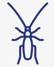 Download Your Cockroach Fact Sheet Now - Cockroach, HD Png Download, Transparent PNG