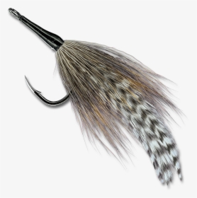 Cockroach, HD Png Download, Transparent PNG