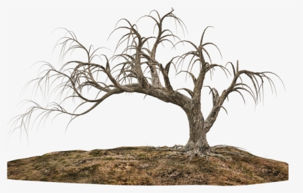 Tree And Soil Png, Picture - Sending My Love To Heaven, Transparent Png, Transparent PNG