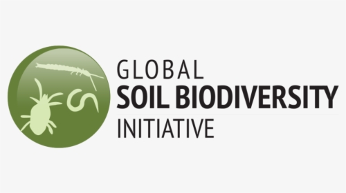 Gsbilogobig - Global Soil Biodiversity Initiative, HD Png Download, Transparent PNG