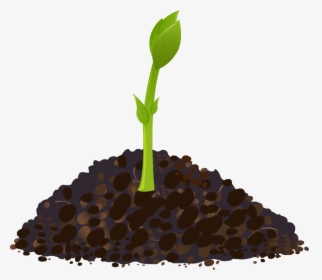 Grows And Develops Biology, HD Png Download, Transparent PNG