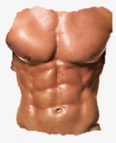 #abs - Best Body Build, HD Png Download, Transparent PNG