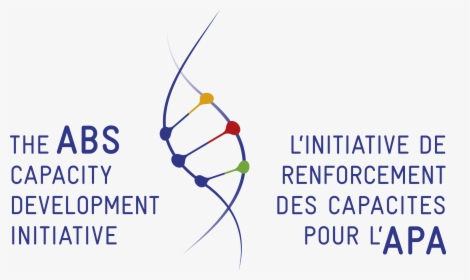 Abs Capacity Development Initiative Logo, HD Png Download, Transparent PNG