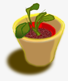 Potted Plant Vegetable Png Clipart , Png Download, Transparent Png, Transparent PNG