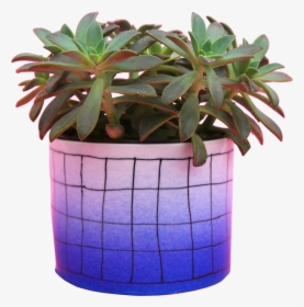 Flowerpot, HD Png Download, Transparent PNG