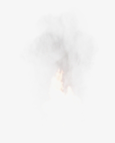 White Stork, HD Png Download, Transparent PNG