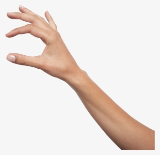 Holding Hands Icon - Arm Png, Transparent Png, Transparent PNG