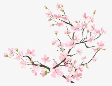 Cherry Blossom Tumblr At - Japanese Cherry Blossom Transparent, HD Png Download, Transparent PNG