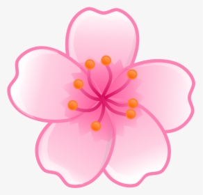 Flower Cherry Blossom Clipart, HD Png Download, Transparent PNG