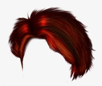 Men Hair PNG Images, Transparent Men Hair Image Download - PNGitem