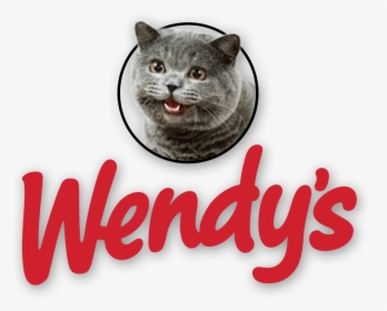 Wendy S Logo With Cheezburger Cat - Cat Eating At Wendy's, HD Png Download, Transparent PNG