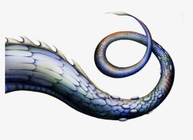 Download Dragontail Sgsword Cyo - Dragon Tail Png, Transparent Png, Transparent PNG