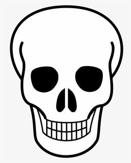 Clip Art Day Of The Dead Skull Template - Skull Clipart, HD Png Download, Transparent PNG