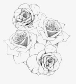 #rose #outline #flower - Rose Drawing Png, Transparent Png, Transparent PNG