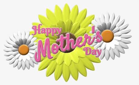Transparent Happy Mother Day Png - African Daisy, Png Download, Transparent PNG
