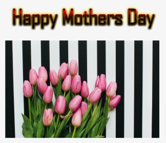 Mothers Day Greetings Png Free Background - Sprenger's Tulip, Transparent Png, Transparent PNG