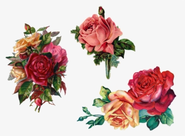 Rose Bouquet Vintage Png, Transparent Png, Transparent PNG