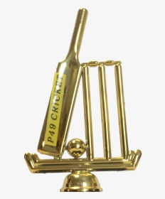 Cricket, HD Png Download, Transparent PNG