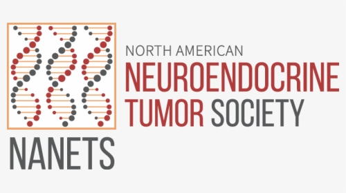 North American Neuroendocrine Tumor Society, HD Png Download, Transparent PNG