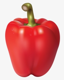 Bell Pepper Chili Pepper - Red Pepper Transparent Background, HD Png Download, Transparent PNG