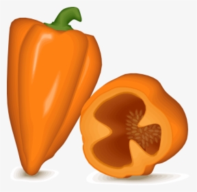 Gourd,superfood,bell Pepper - Transparent Background Habanero Pepper Clipart, HD Png Download, Transparent PNG
