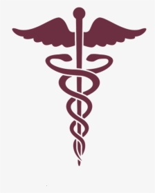 Caduceus As A Symbol Of Medicine Staff Of Hermes Medical - Medical Symbol, HD Png Download, Transparent PNG
