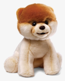 Download Boo Dog Png File - Boo Stuffed Animal, Transparent Png, Transparent PNG