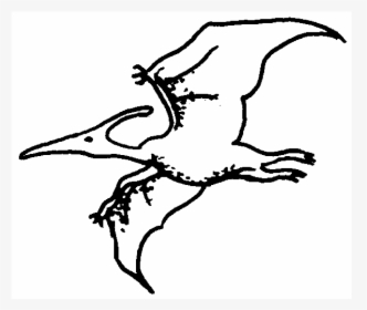 Pterodactyl Rubber Stamp   Title Pterodactyl Rubber - Sketch, HD Png Download, Transparent PNG