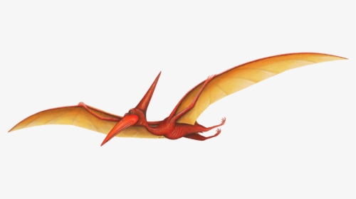 Pterosaurs PNG Images - PNG All