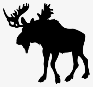 Clip Art Moose Deer Illustration Vector Graphics - Portable Network Graphics, HD Png Download, Transparent PNG