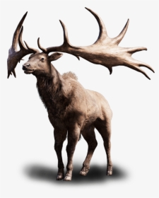 Moose, Elk Png - Far Cry Primal Alce Alto, Transparent Png, Transparent PNG