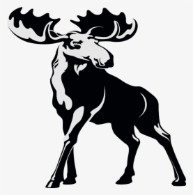 Bull Moose, HD Png Download, Transparent PNG