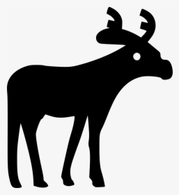 Moose - Elk, HD Png Download, Transparent PNG