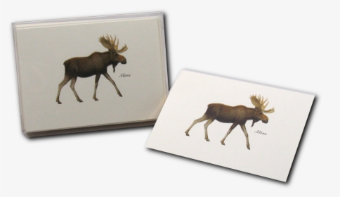 Transparent Moose Png - Elk, Png Download, Transparent PNG
