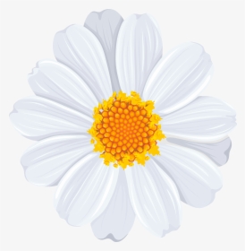 Common Daisy Clip Art, HD Png Download, Transparent PNG