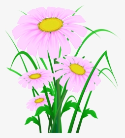 Transparent Pink Daisy Png - Beautiful Flower Background Png, Png Download, Transparent PNG