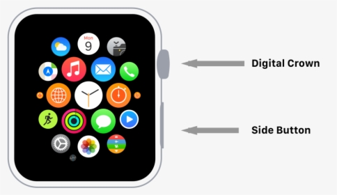 Digital Crown Apple Watch Unlock, HD Png Download, Transparent PNG